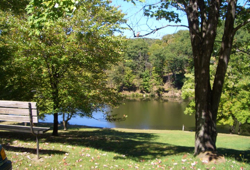 Tomlinson Run State Park, West Virginia, USA